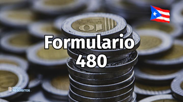 Formulario 480