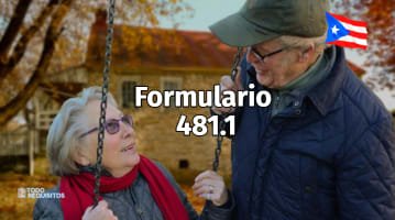 Formulario 481.1