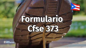 Formulario Cfse 373