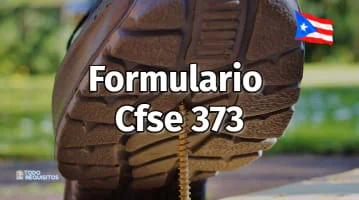 Formulario Cfse 373