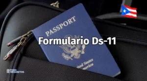 Formulario Ds 11: Cómo Puedes Obtenerlo