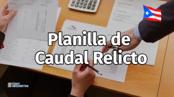 Planilla de Caudal Relicto