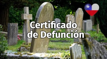 patente de alcoholes