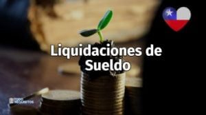 liquidaciones de sueldo